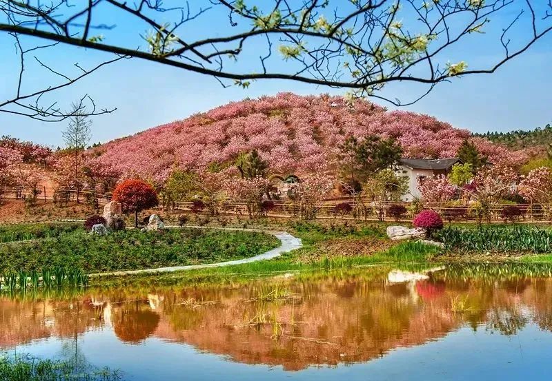 汉服花朝节在哪里举行？盘点2022年花朝节汉服活动（四）