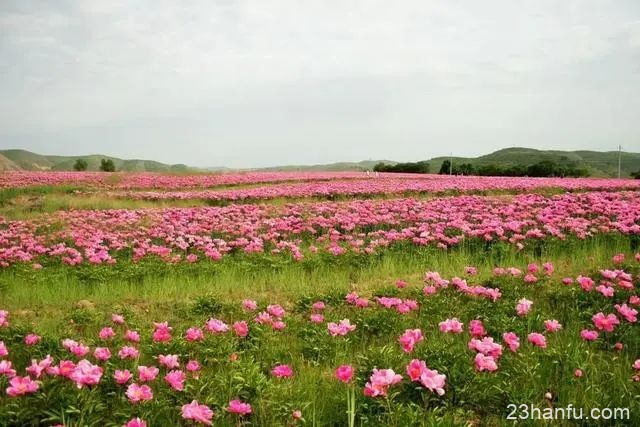 穿汉服免费入园系列–暑假期间多地景点开展穿汉服免费入园活动