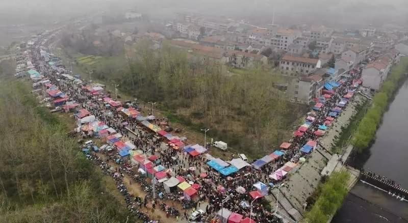 以花为名：这个曾与中秋节齐名的重要节日，如今却为何少有人知？