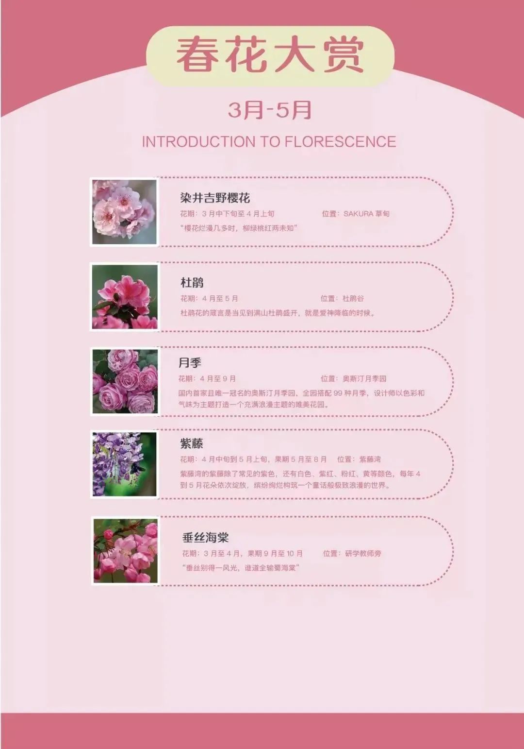 汉服花朝节在哪里举行？盘点2022年花朝节汉服活动（四）