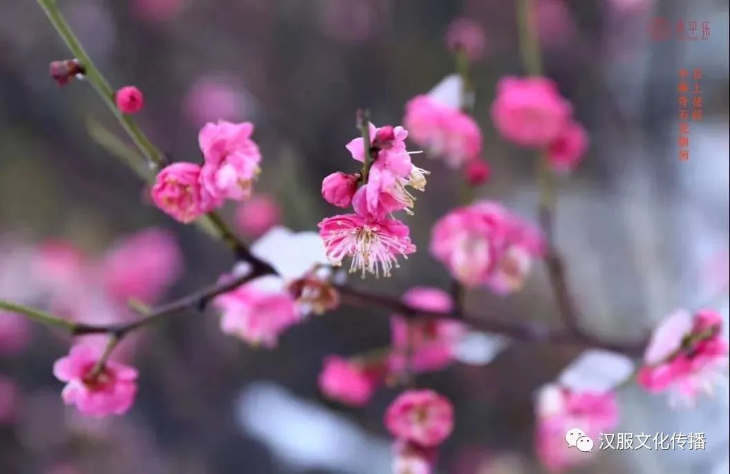 2021汉服花朝节，各地景点汉服活动动态