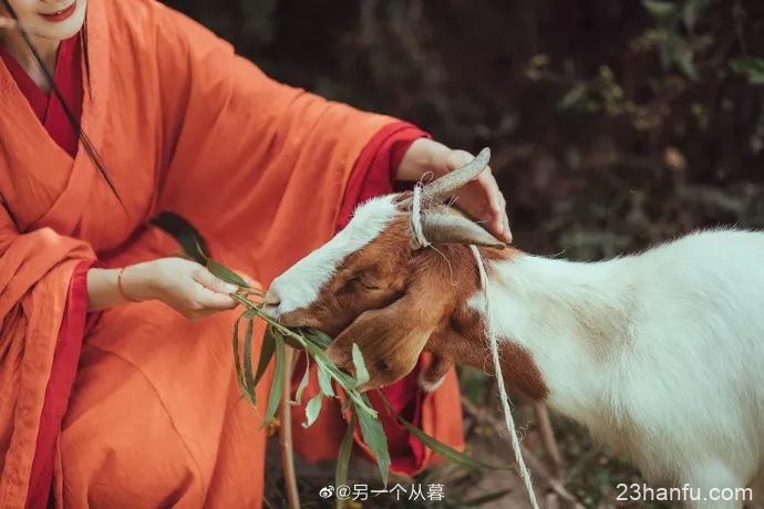 【汉服私影】山居好