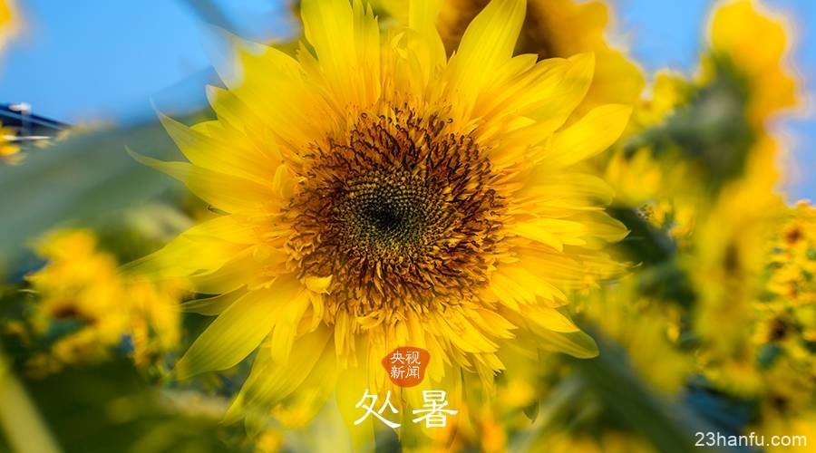 我们的24节气申遗成功！一起来了解节气背后的故事