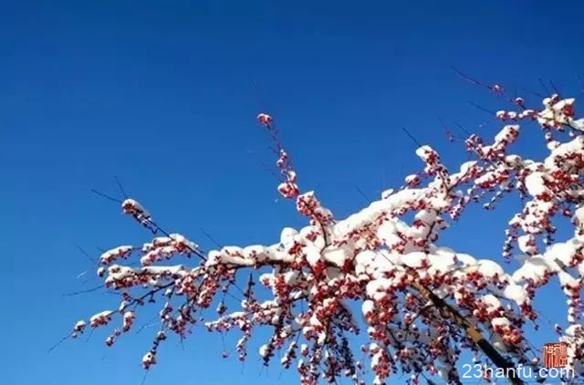 【传统节气】小雪丨今日江山又小雪，诸位看官记得多加件衣裳