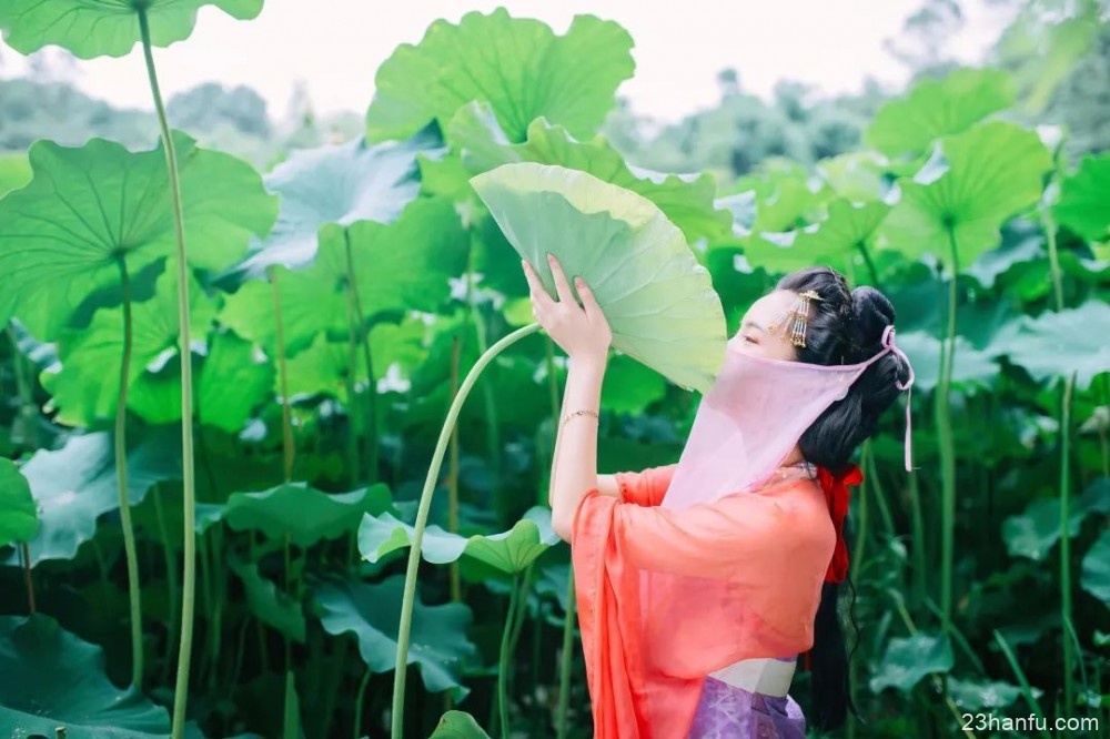 【汉服摄影】青荷盖绿水