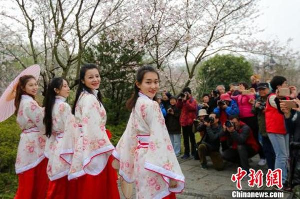 南京明孝陵樱花园“春花如雪” 花下汉服美女美如画