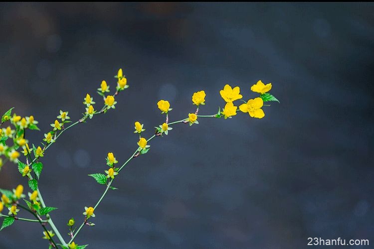 为什么要祭祖？这是我听过最好的答案