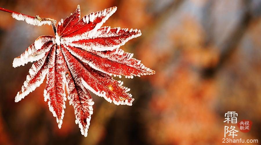 我们的24节气申遗成功！一起来了解节气背后的故事