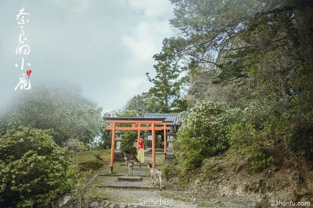 【汉服旅行】她带着汉服拍遍十几个国家，仅用1张照片，便征服了世界