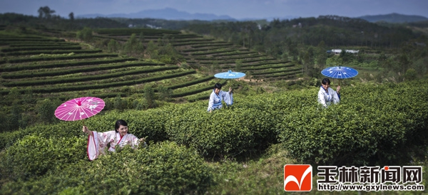 博白一家三代圆旅游梦 穿汉服为家乡旅游代言