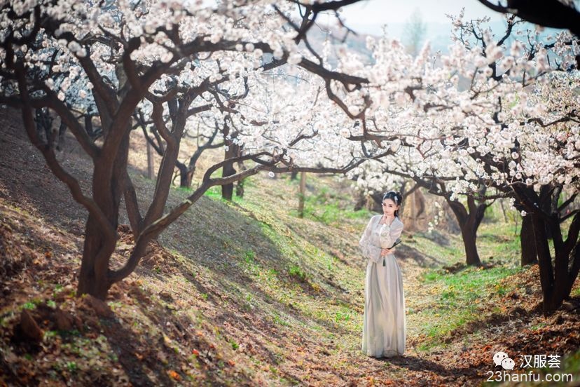 【汉服美景】桃花烂漫杏花稀