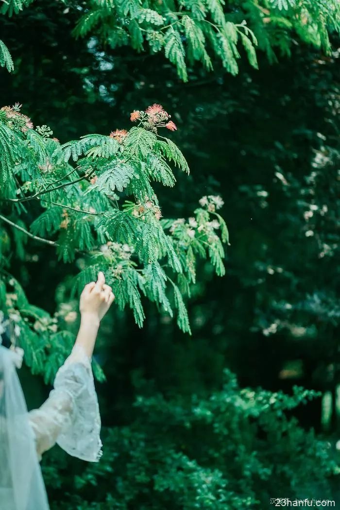 【汉服花嫁】你的笑像西瓜最中间那一勺的口感