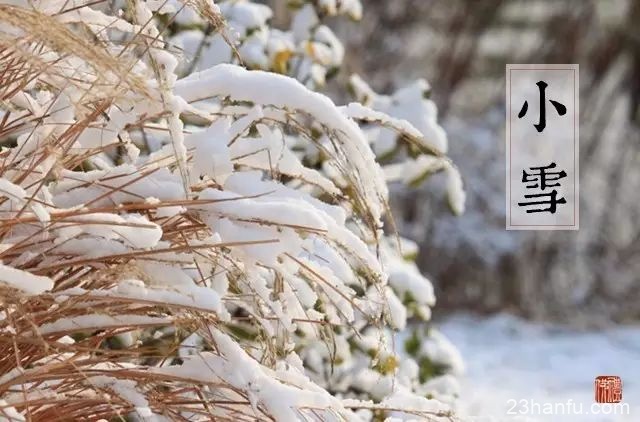 【传统节气】小雪丨今日江山又小雪，诸位看官记得多加件衣裳