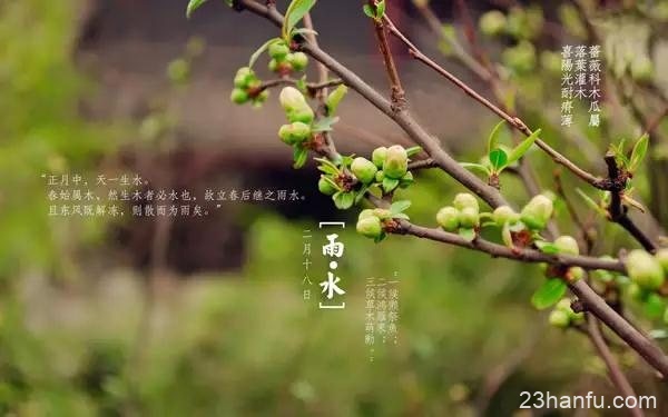 二十四节气成功申遗，让我们来好好了解“中国的第五大发明”吧