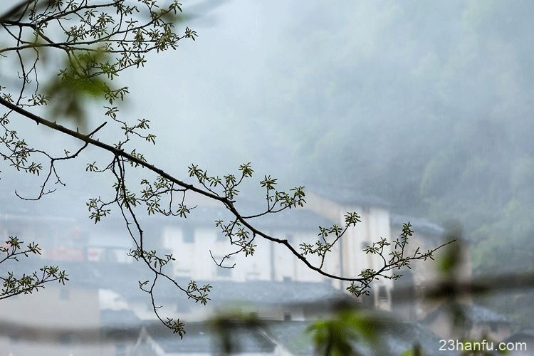 为什么要祭祖？这是我听过最好的答案