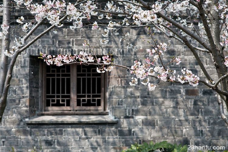 为什么要祭祖？这是我听过最好的答案