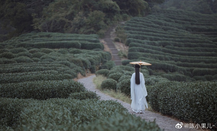 飘然携去，旗亭问酒，萧寺寻茶