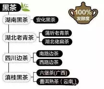 【茶道】一张图看懂中国所有茶叶，再跟别人喝茶有的聊了！