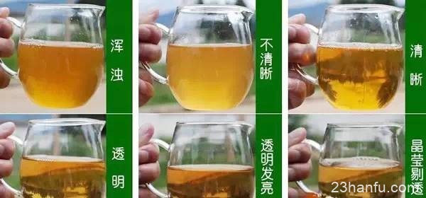 【茶道】品茶高手都熟知这几个步骤