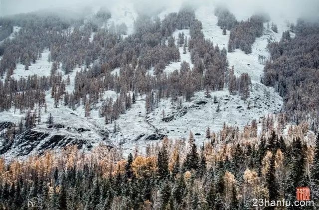 【传统节气】小雪丨今日江山又小雪，诸位看官记得多加件衣裳