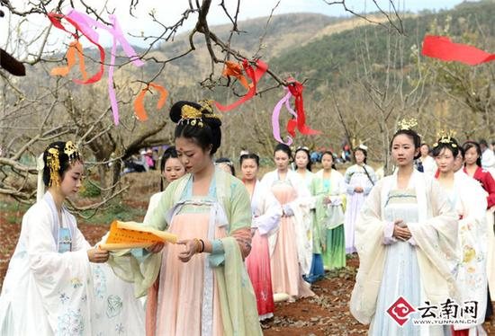 昆明600年古树梨园首次开放 汉服美女 “祭花神”