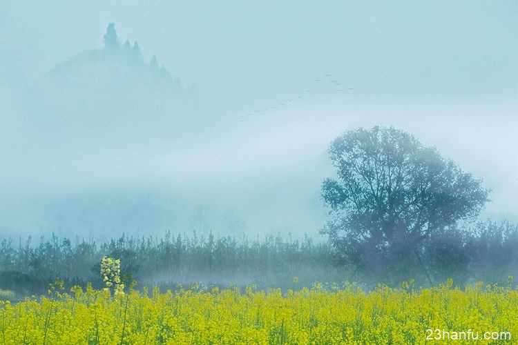 为什么要祭祖？这是我听过最好的答案