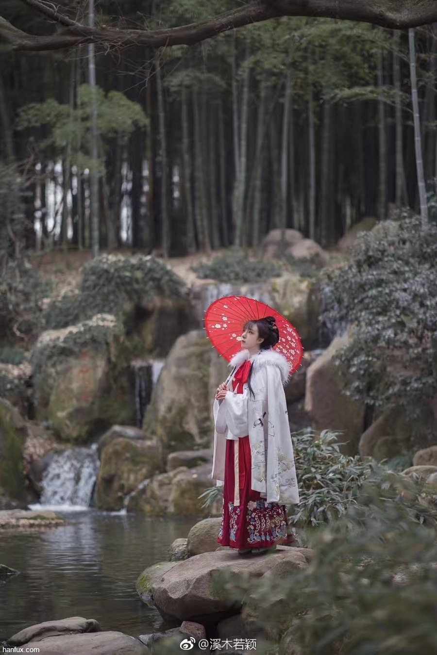 煮梅入酒，新雪独酌。