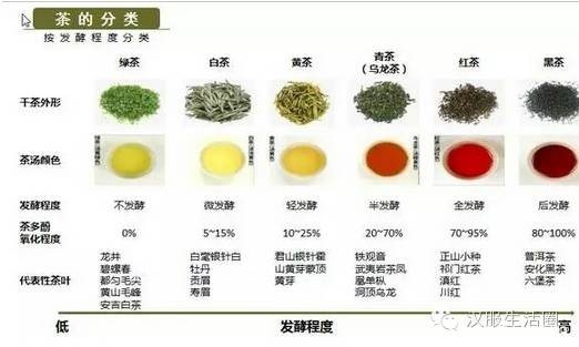 【茶道】学茶如何入门？实操方式大解密