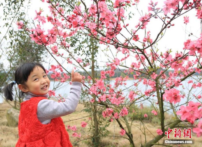 “花朝节”江西民众踏青赏花 汉服少女拜花神