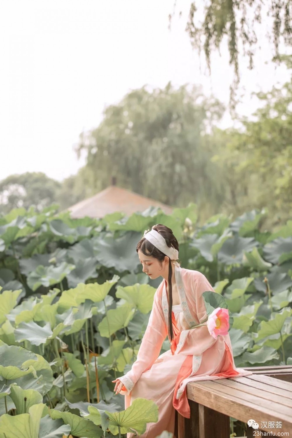 【汉服美景】十里荷塘，烟雨影涟涟