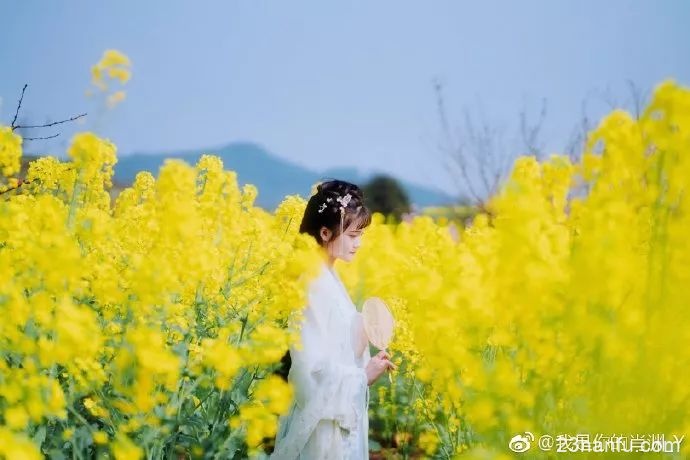 【汉服美图】花开浪漫风中舞