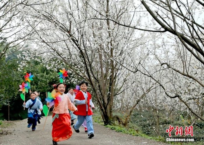 萌哭了 汉服萌娃“现身”万亩樱桃花海