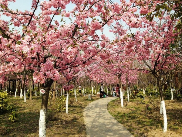 穿汉服逛璟园，看风景的人在看你