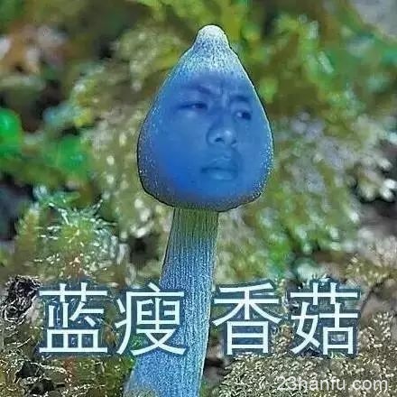 汉服版蓝瘦~香菇！