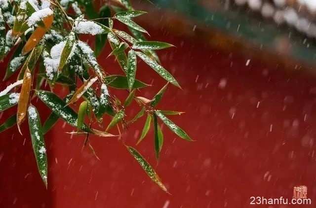 【传统节气】小雪丨今日江山又小雪，诸位看官记得多加件衣裳