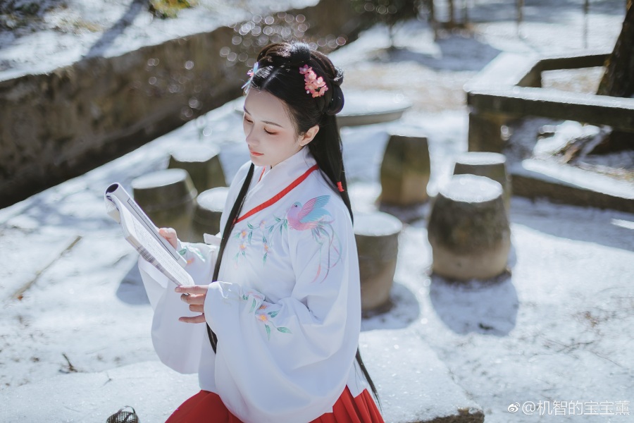 雪洗虏尘静