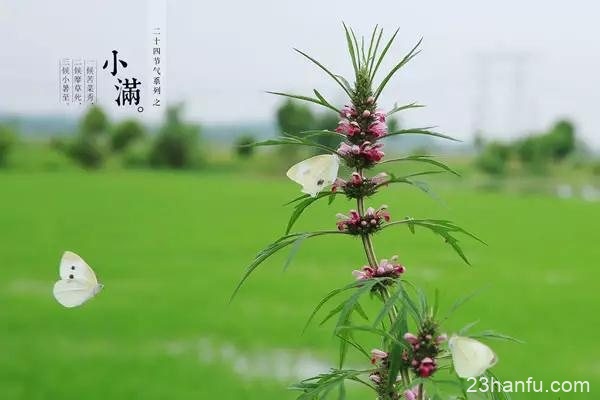 二十四节气成功申遗，让我们来好好了解“中国的第五大发明”吧