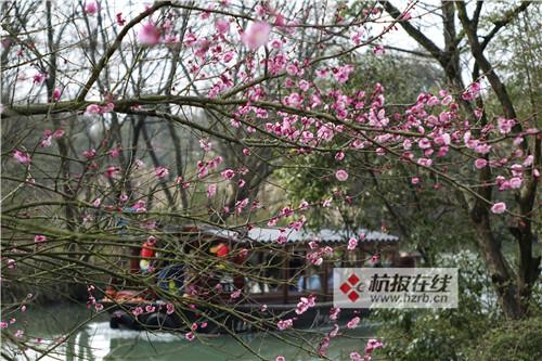 西溪国家湿地公园“曲水寻梅 汉服雅韵”