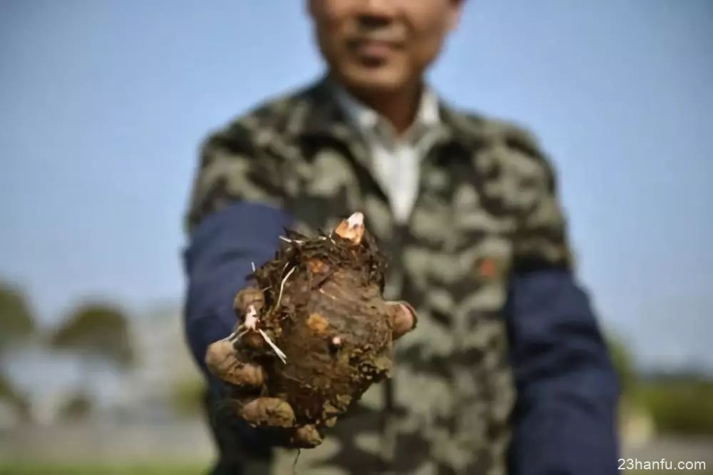 【民俗文化】霜降 | 此刻拳拳在念，念你两鬓霜白